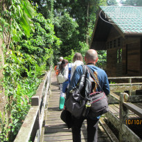 фото из отзыва ID 1438881