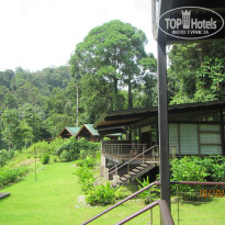 фото из отзыва ID 1438881