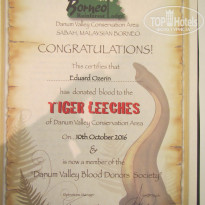 фото из отзыва ID 1438881