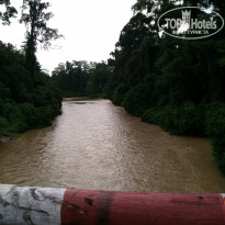 фото из отзыва ID 1438881