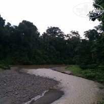 фото из отзыва ID 1438881