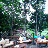 фото из отзыва ID 1438881