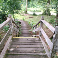 фото из отзыва ID 1438881