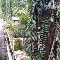 фото из отзыва ID 1438881