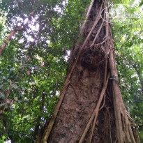 фото из отзыва ID 1438881