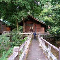 фото из отзыва ID 1438881