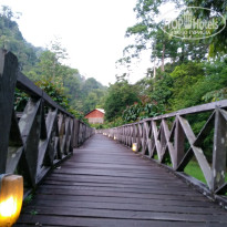 фото из отзыва ID 1438881