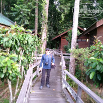 фото из отзыва ID 1438881