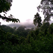 фото из отзыва ID 1438881