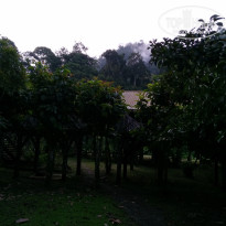 фото из отзыва ID 1438881