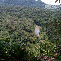 фото из отзыва ID 1438881