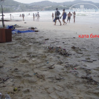 фото из отзыва ID 1438961