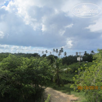 фото из отзыва ID 1439004