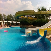 фото из отзыва ID 1437112