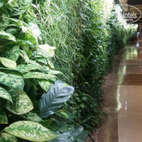 фото из отзыва ID 1439069