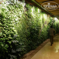 фото из отзыва ID 1439069