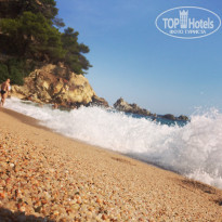 фото из отзыва ID 1439130