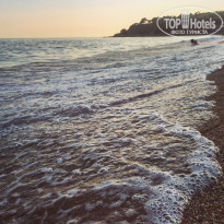 фото из отзыва ID 1439130