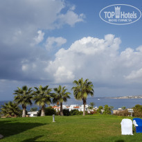 фото из отзыва ID 1439405