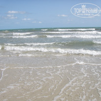 фото из отзыва ID 1439449