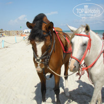 фото из отзыва ID 1439449