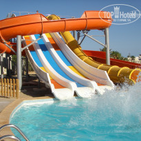 фото из отзыва ID 1439449