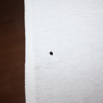 фото из отзыва ID 1439523