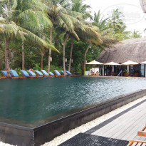 фото из отзыва ID 1439532