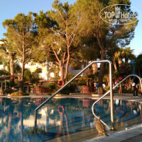 фото из отзыва ID 1439663