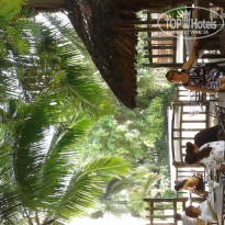 фото из отзыва ID 1439670