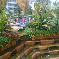 фото из отзыва ID 1439758