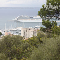 фото из отзыва ID 1439771