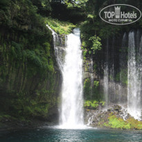 фото из отзыва ID 1439851