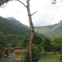 фото из отзыва ID 1439851