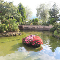 фото из отзыва ID 1439851