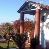 фото из отзыва ID 1439906