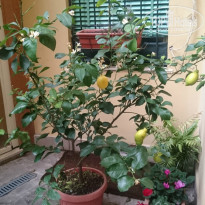 фото из отзыва ID 1439547