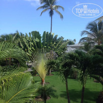 фото из отзыва ID 1439119