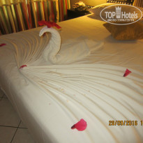 фото из отзыва ID 1437033