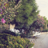 фото из отзыва ID 1438528