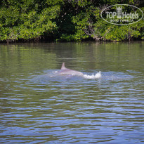 фото из отзыва ID 1438921