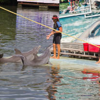 фото из отзыва ID 1438921