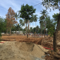 фото из отзыва ID 1431254