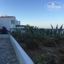 фото из отзыва ID 1435970