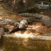 фото из отзыва ID 1437525