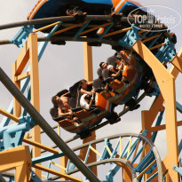 фото из отзыва ID 1437525