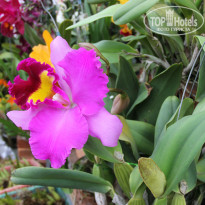 фото из отзыва ID 1435158