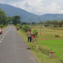 фото из отзыва ID 1437467