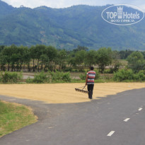 фото из отзыва ID 1437467