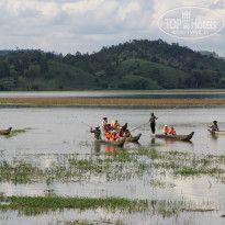 фото из отзыва ID 1437467